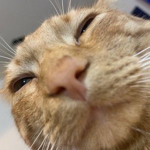 Meet your Posher, Esperanza